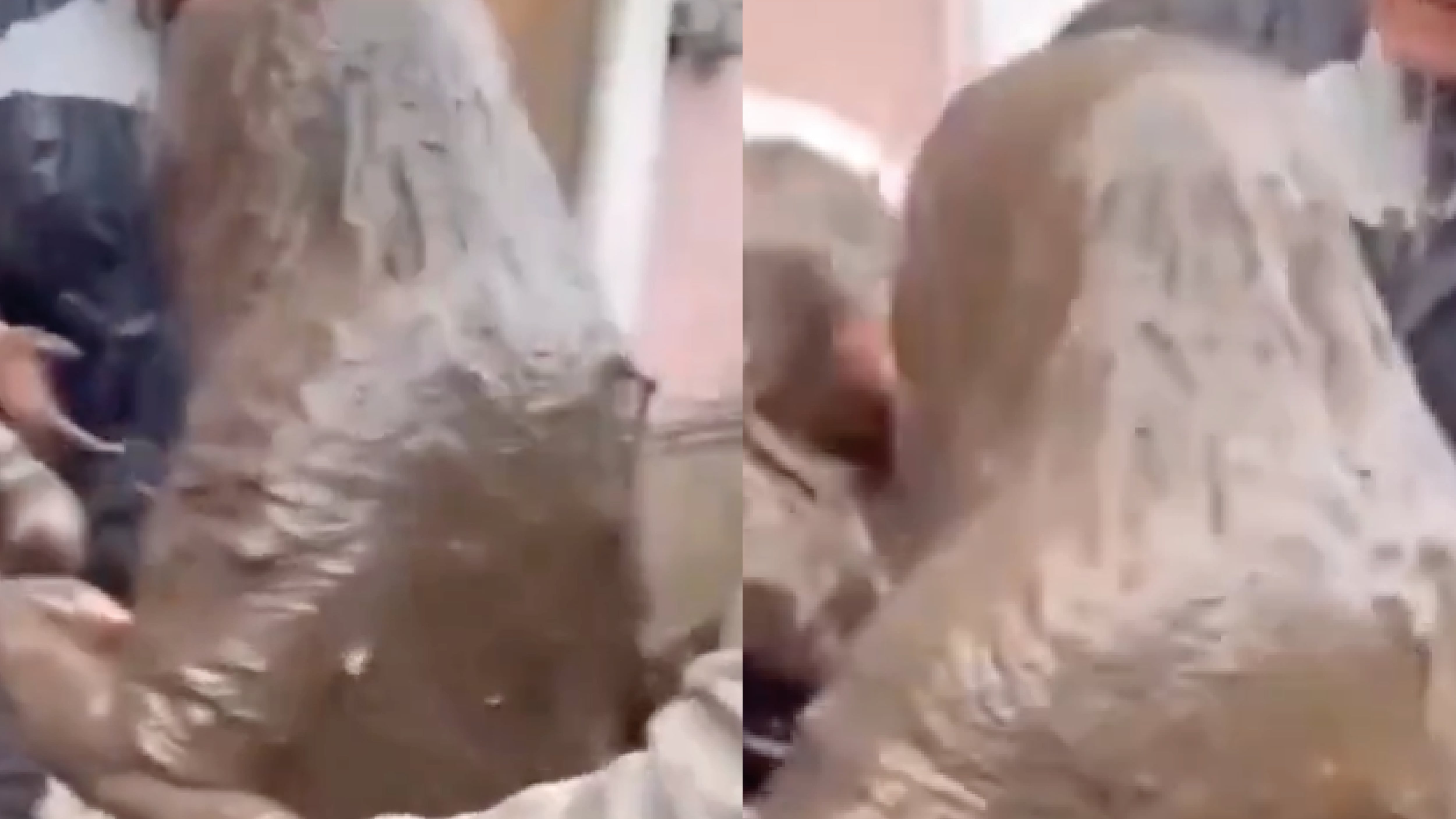 Madre e hija sobreviven al aluvión en Alausí