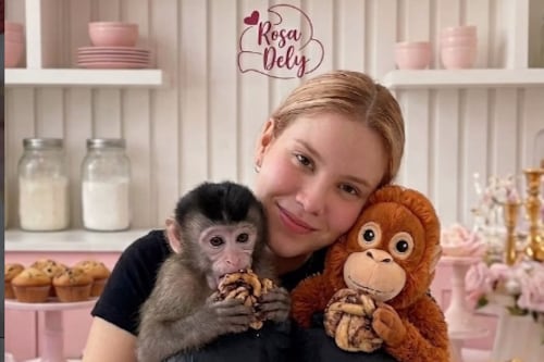 ¿Qué pasó con la influencer Carmiña Castro? La pista sobre su secuestro en Sinaloa