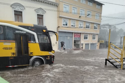 Lluvias en Quito: Tráfico, acumulación de agua y caída de árbol en hora pico