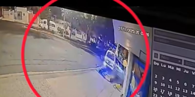 El menor que la acompañaba logro salvarse junto a su mascota