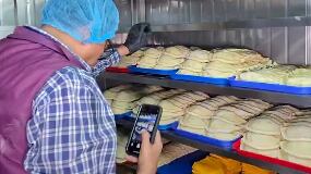 Empanadas caducadas y con plagas fueron halladas en planta clausurada de Durán por Arcsa.