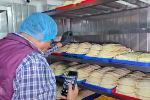 ¡Alerta sanitaria!: empanadas caducadas y con plagas se producían en Durán