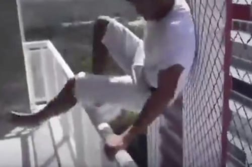 VIDEO: empleado salta desde el piso 18 para demostrar que sirve su red de seguridad