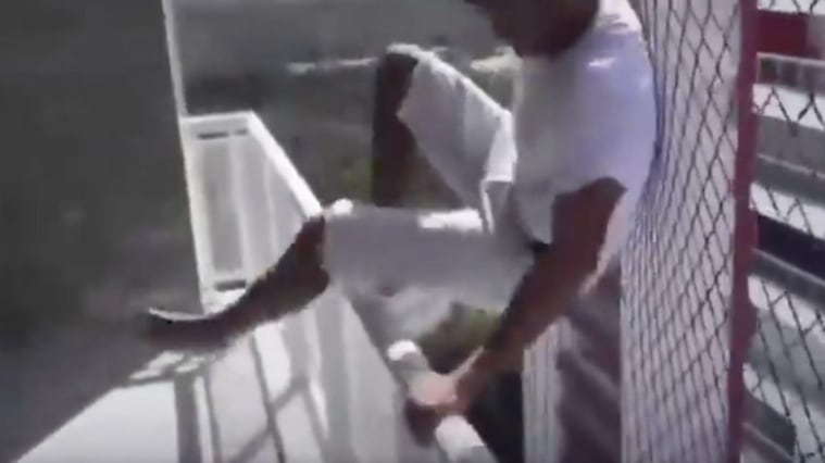 VIDEO: empleado salta desde el piso 18 para demostrar que sirve su red de seguridad