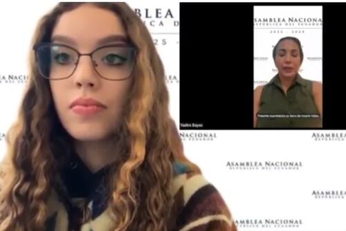 Asambleísta finge asistir a sesión virtual con una foto y así la descubrieron
