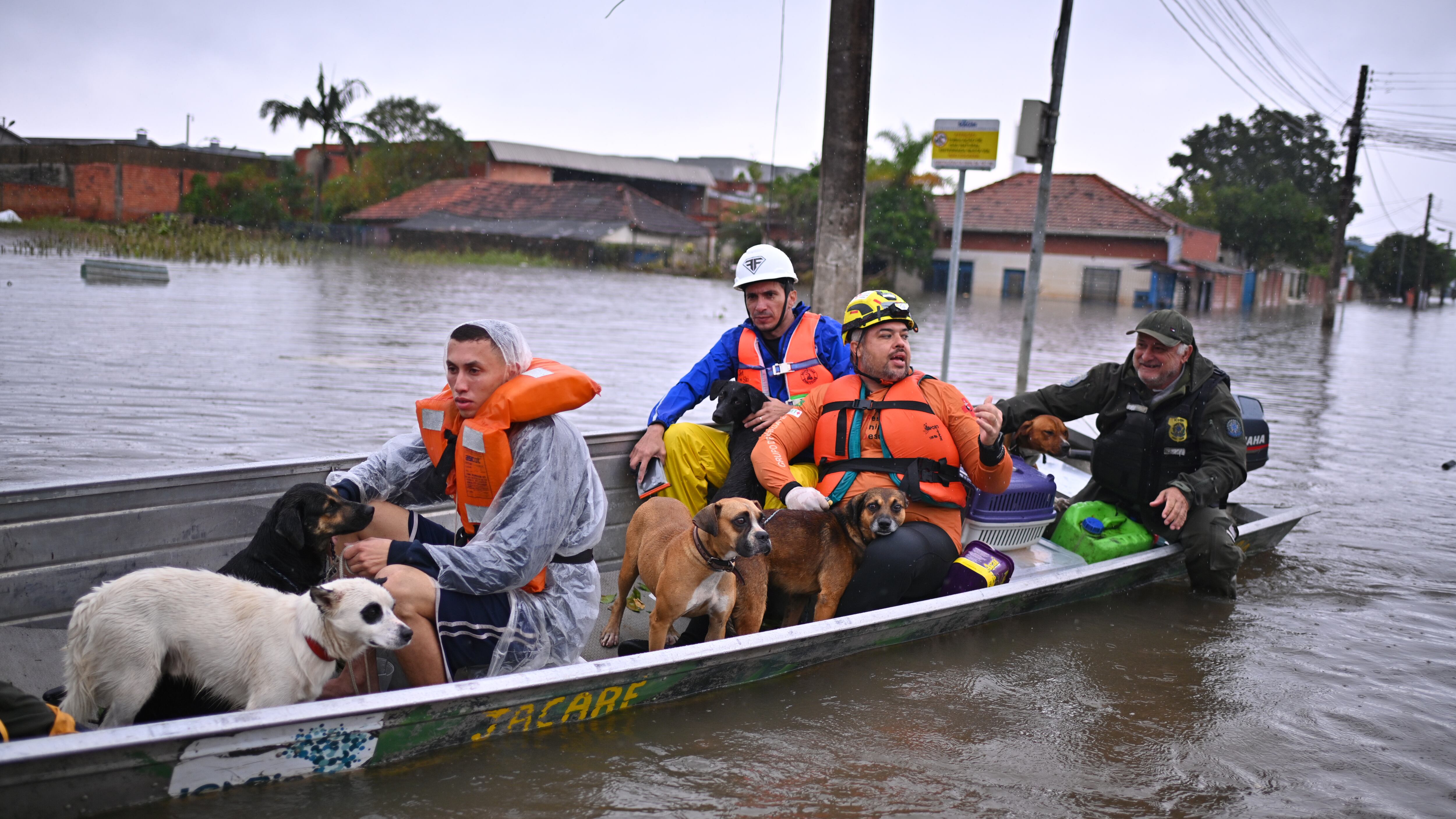 AME5201. CANOAS (BRASIL), 10/05/2024.- Habitantes con sus mascotas se transportan en una canoa en una zona inundada este viernes en Canoas, región metropolitana de Porto Alegre (Brasil). El número de muertos por las devastadoras inundaciones que castigan al sur de Brasil llegó a 116 este viernes y el Gobierno alertó sobre unas fuertes precipitaciones previstas para el fin de semana, que pueden agravar aún más una situación que ya es crítica. Las previsiones en algunas regiones del estado de Rio Grande do Sul es que las lluvias alcancen entre sábado y domingo un volumen de 115 milímetros, lo cual volverá a presionar el nivel de ríos que ya están desbordados, dijo el ministro de Información, Paulo Pimenta, en una rueda de prensa junto a otros miembros del gabinete. EFE/Andre Borges