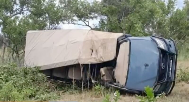 Turista perdió la vida tras el ataque de un elefante de un safari en Zambia.