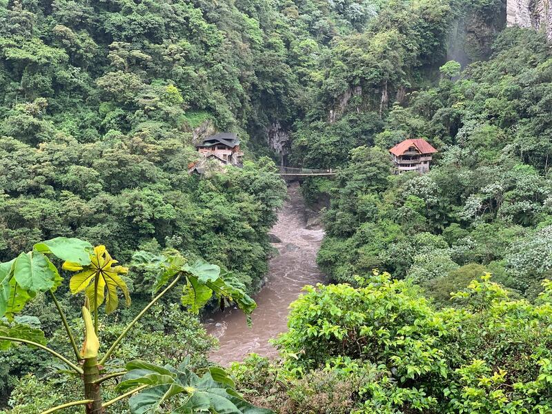 En la Amazonía. El verde vivo de su vegetación destaca en Misahuallí, en Napo.