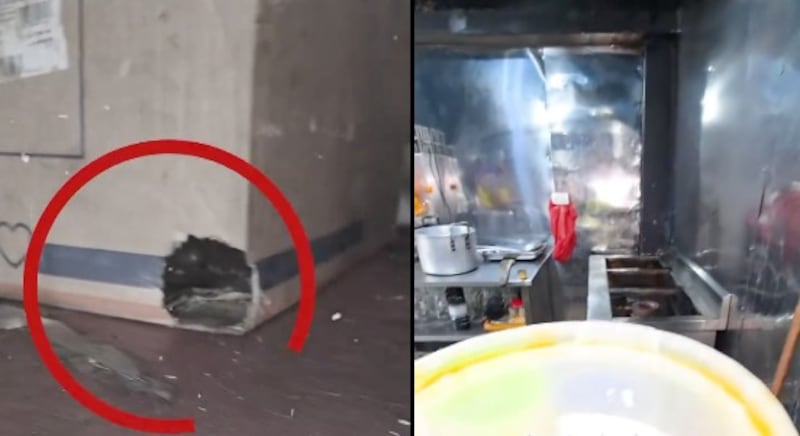 Un nido de ratones fue hallado sobre un refrigerador durante un control sanitario en un local de parrilladas en Sauces 4.
