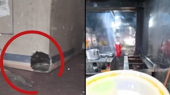 Un nido de ratones fue hallado sobre un refrigerador durante un control sanitario en un local de parrilladas en Sauces 4.