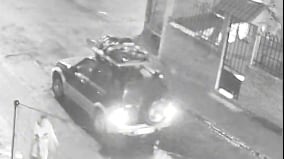 Por supuestamente atropellar a un perro perdió la vida