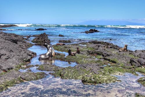 Ecuador, entre los 21 mejores destinos para viajar solo en 2026 según revista internacional