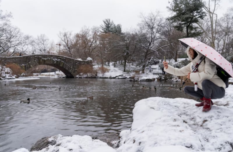 Nueva York activa alerta por frío extremo y ráfagas intensa