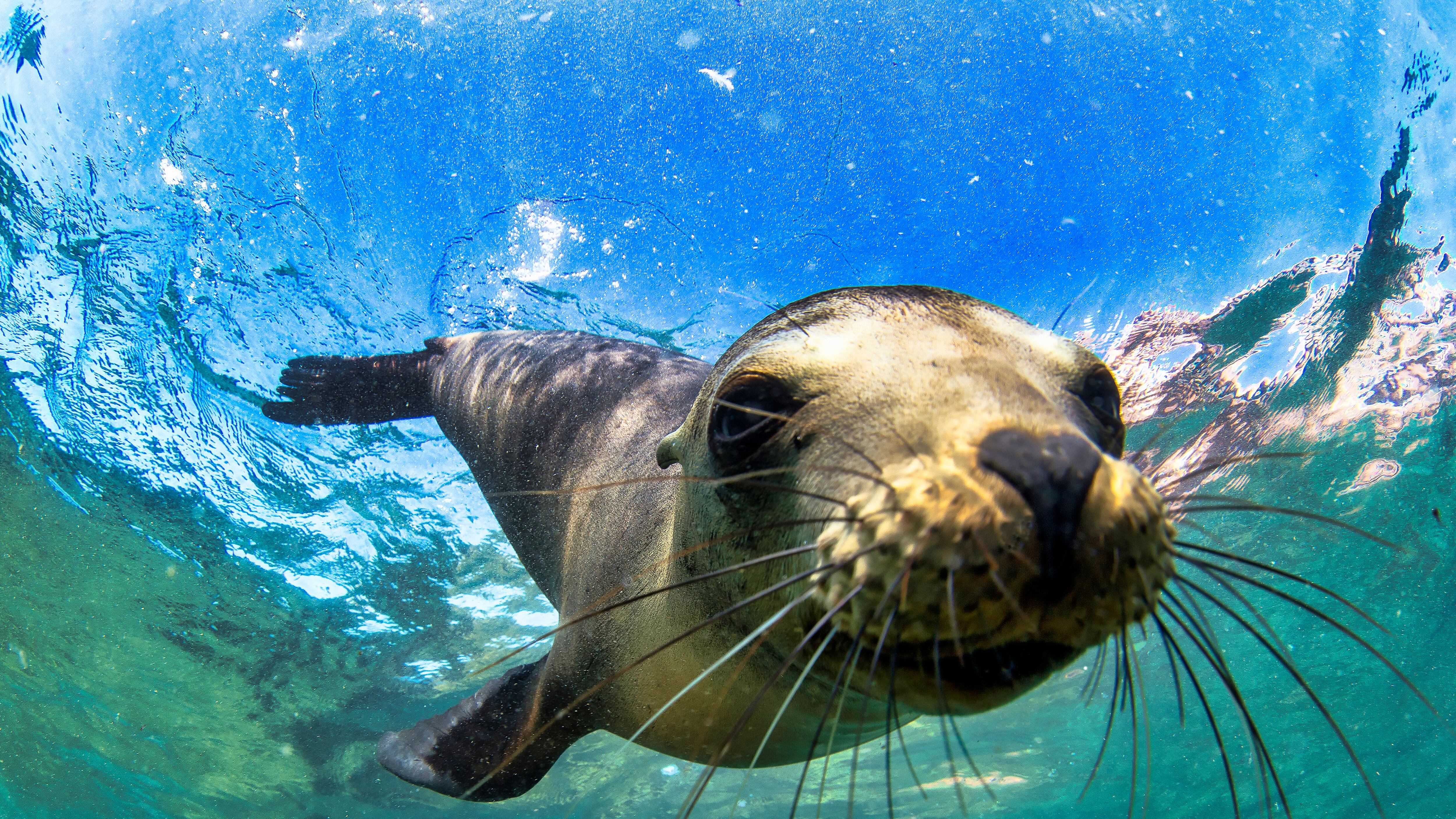 Gana un Viaje a las Islas Galápagos con Medicity