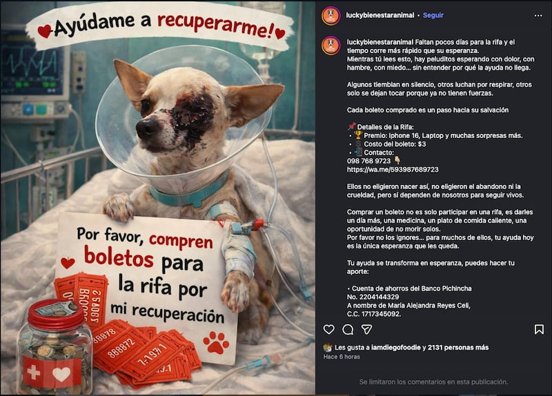 Maltrato animal en Quito