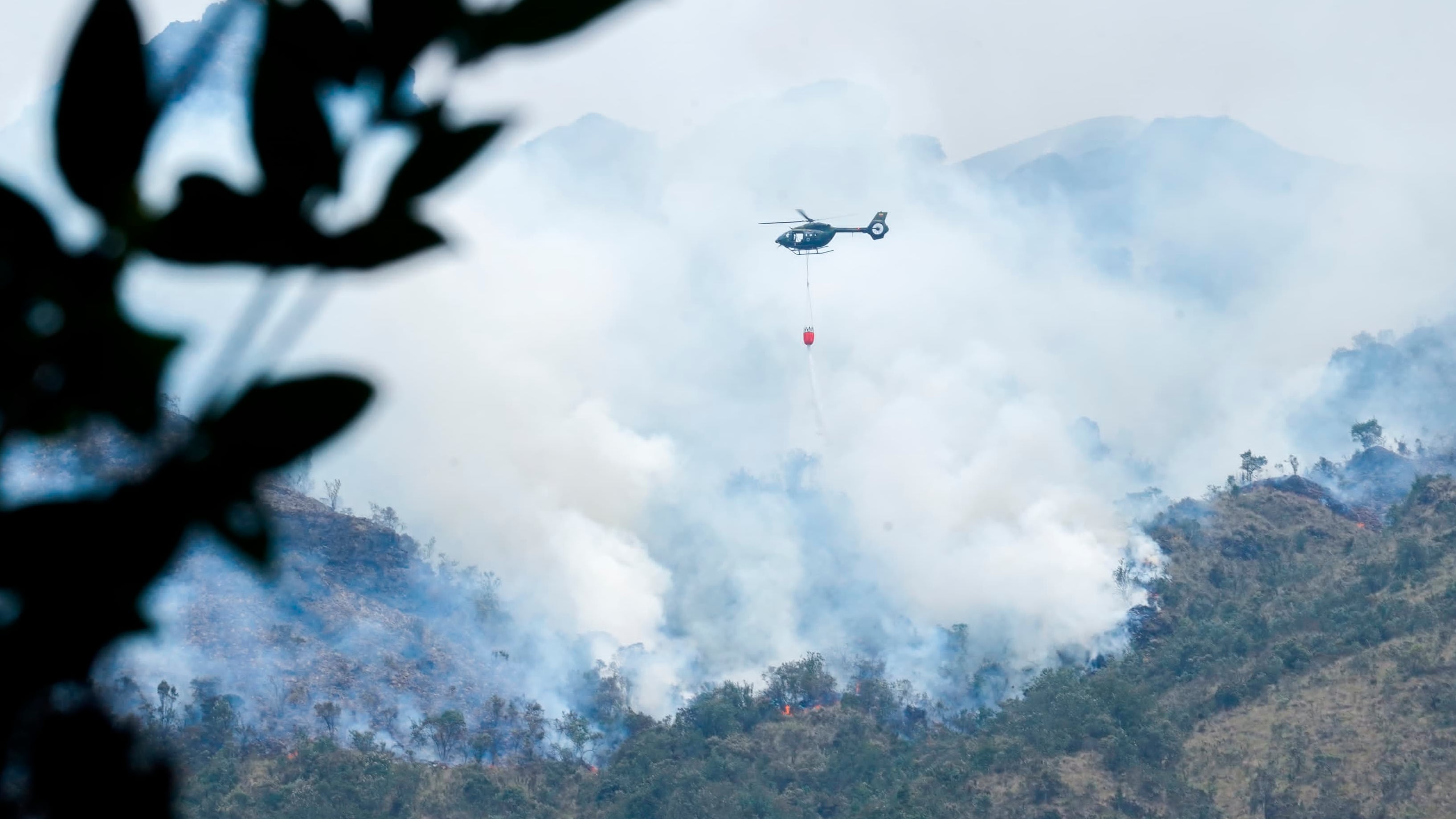 Incendio Forestal en El Cajas
