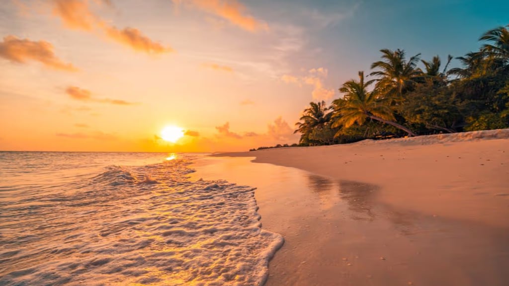 Un hombre recién casado lucha por su vida tras un terrible ataque de tiburón durante su luna de miel. (Imagen: Getty Images)
