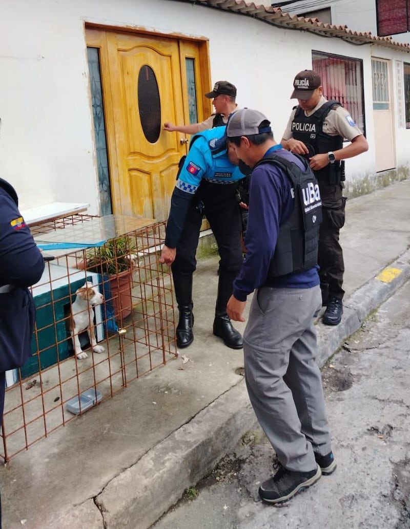 Rescatan a cachorro de pitbull en Solanda
