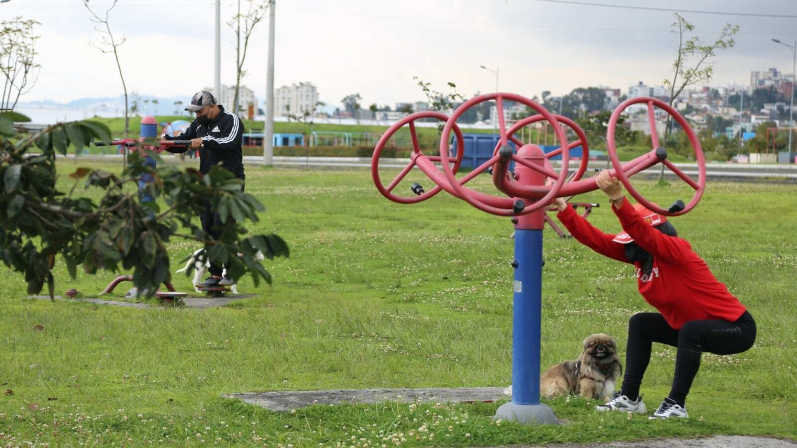 Parques metropolitanos de Quito