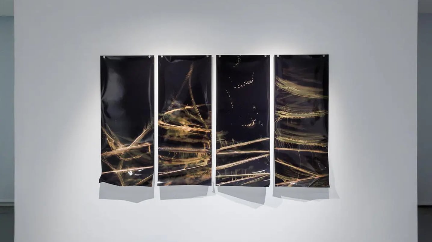 Obra de Alexander Yegorov