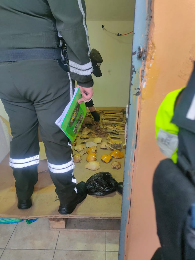 Hallan  más de mil restos óseos en un colegio del sur de Quito