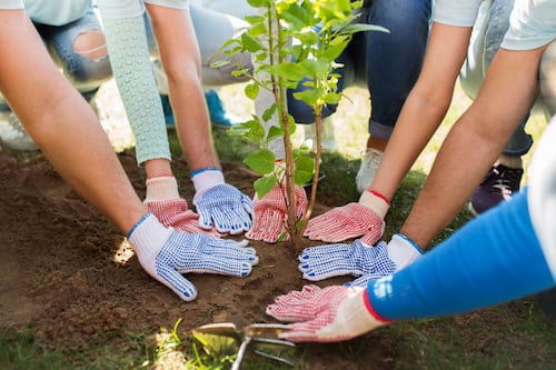 El mundo se une por el planeta: llega la Minga Mundial por el Ambiente 2026