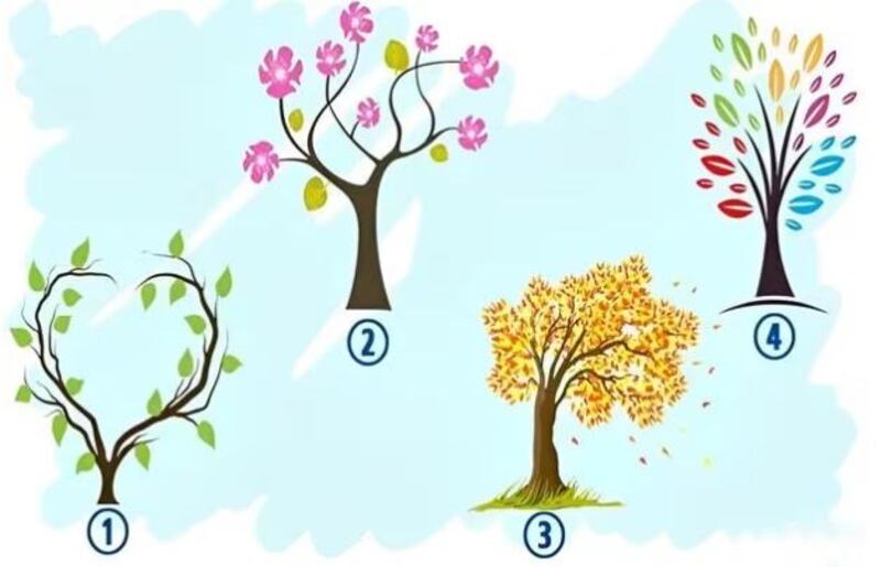 Imagen del test visual