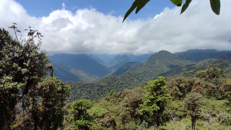 Vista del Chocó Andino