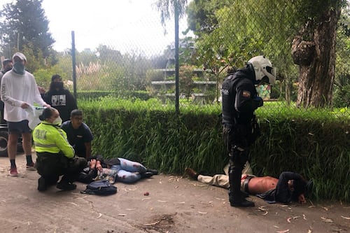 La condena que recibió el hombre que apuñaló a su exconviviente en el parque La Carolina, en el norte de Quito