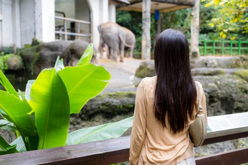 Este Zoológico permite ponerle el nombre de tu ex a roedores y cucarachas para alimentar a sus animales