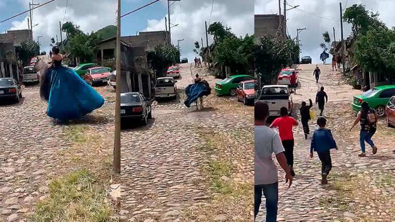 Caballo con quinceañera no quiso ingresar a la fiesta y escapó a toda velocidad