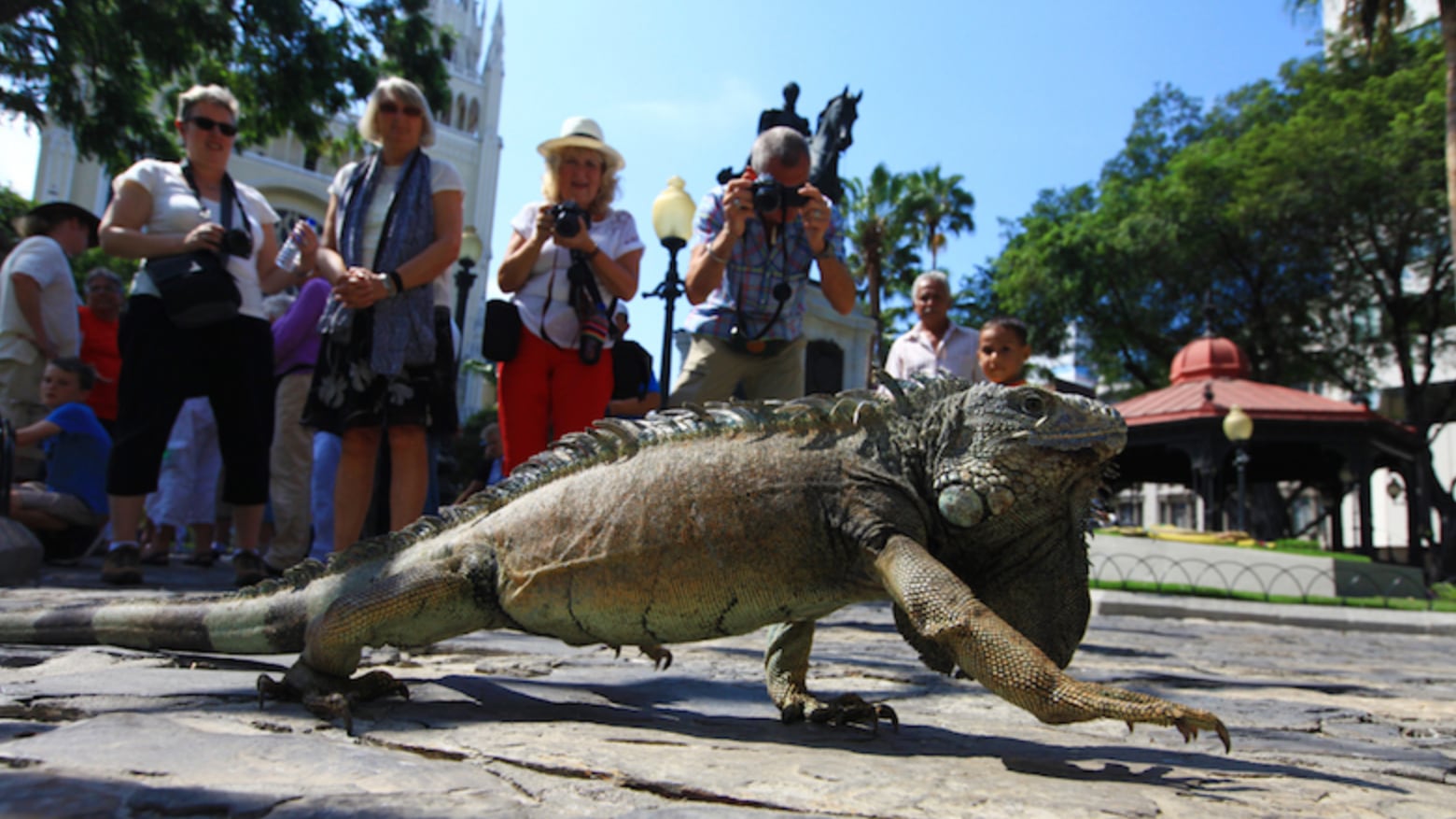 Turistas visitan el Parque de las Iguanas.