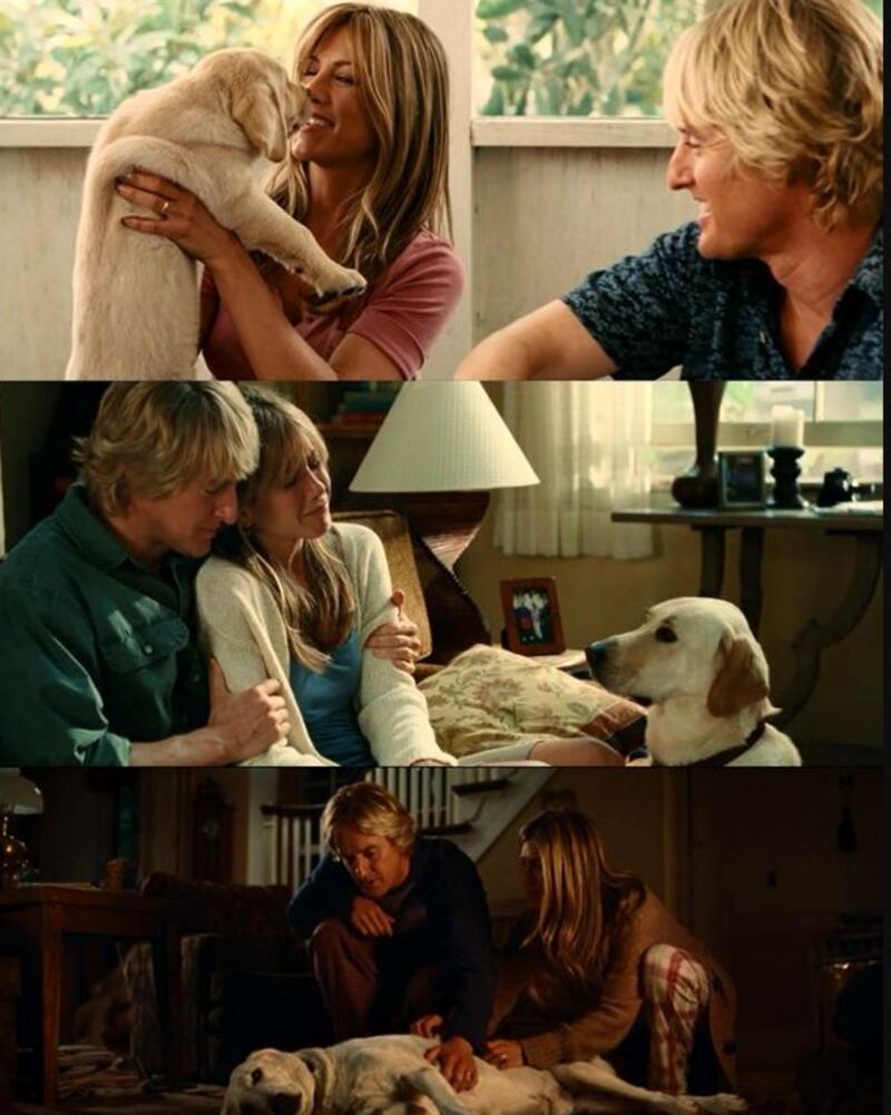 Marley y yo, película de la historia de un perro y su familia hasta su muerte y el impacto que este generó.