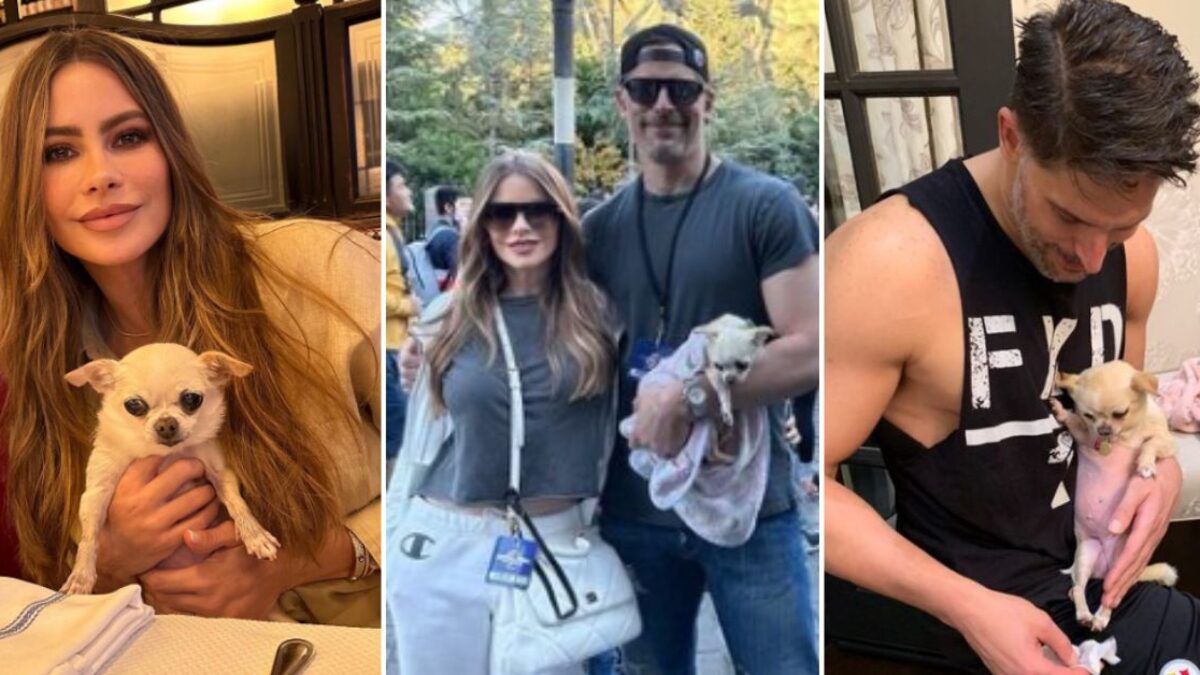 Sofía Vergara y Joe Manganiello divorcio