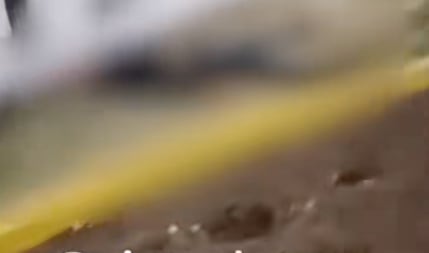 asesinato enviado madre