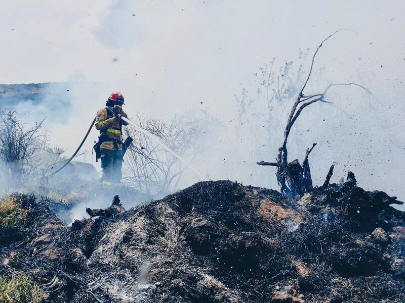 Incendio forestal en el cerro Auqui