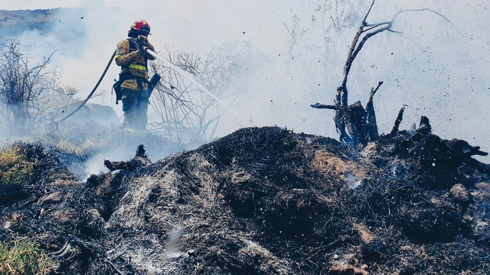 Incendio forestal en el cerro Auqui