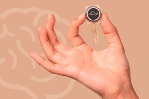 Los requisitos que se necesitan para tener un chip cerebral de Neuralink