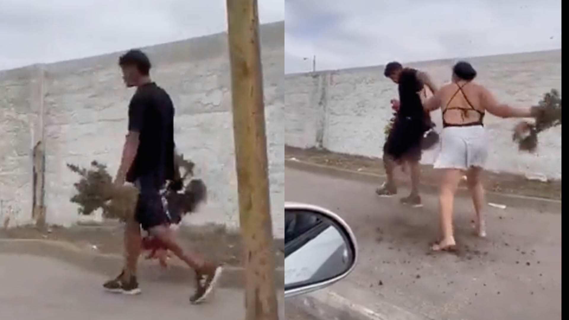 Dueña de un jardín persiguió a un ladrón para recuperar las flores que le había robado en Santa Elena