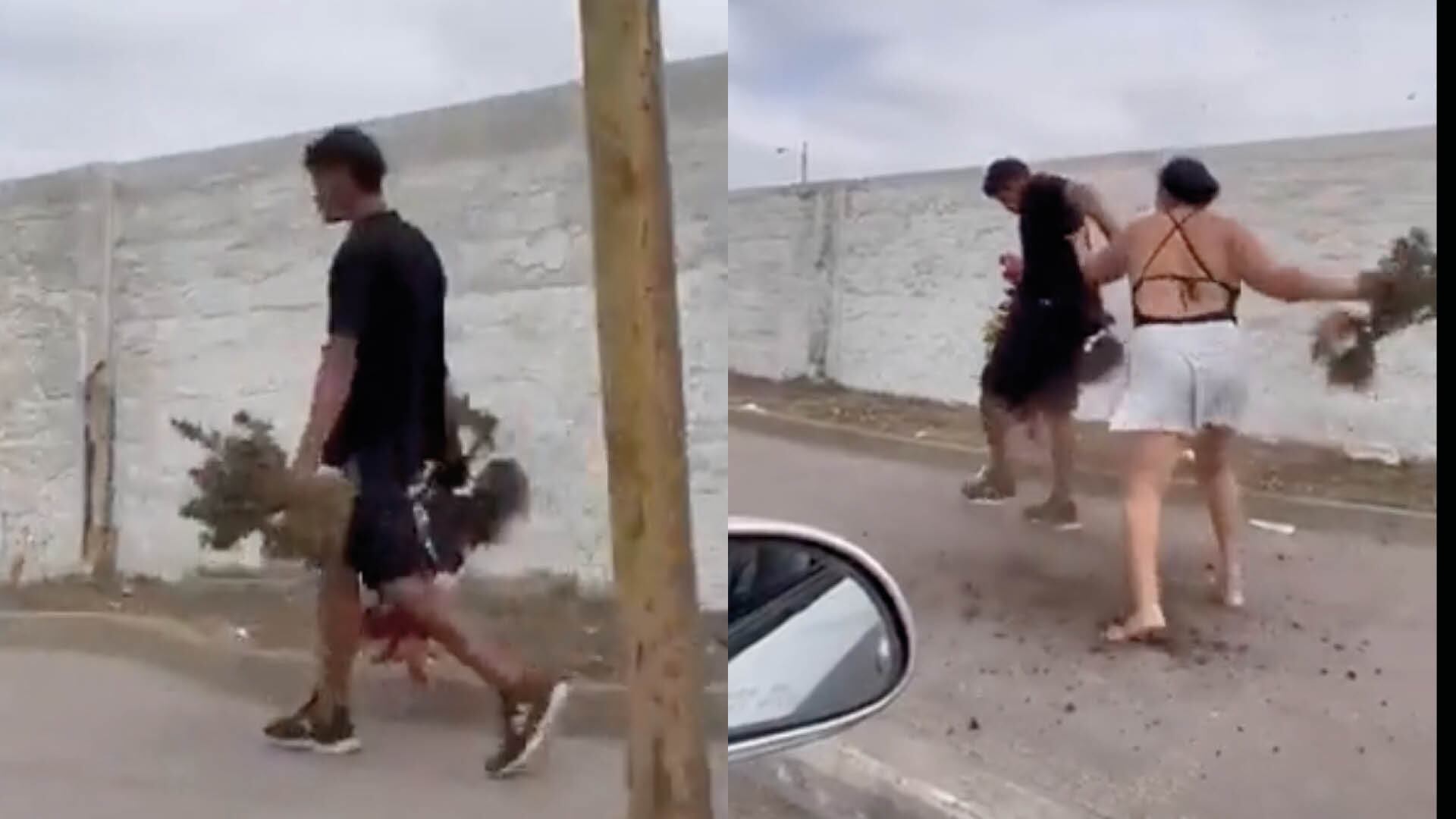 Dueña de un jardín persiguió a un ladrón para recuperar las flores que le había robado en Santa Elena