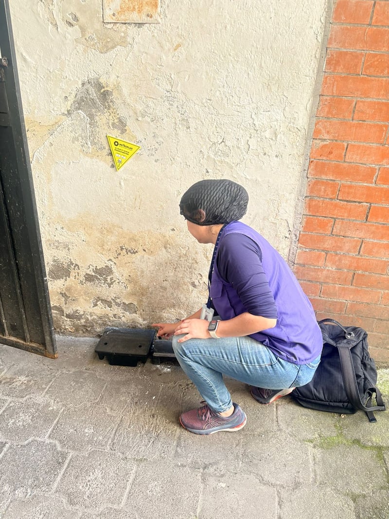 ARCSA revisa el manejo de la basura de los restaurantes en la avenida República de El Salvador por plaga de ratas