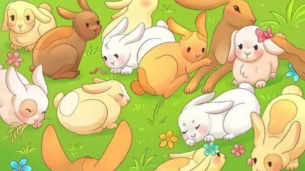 Encuentra a la liebre escondida.