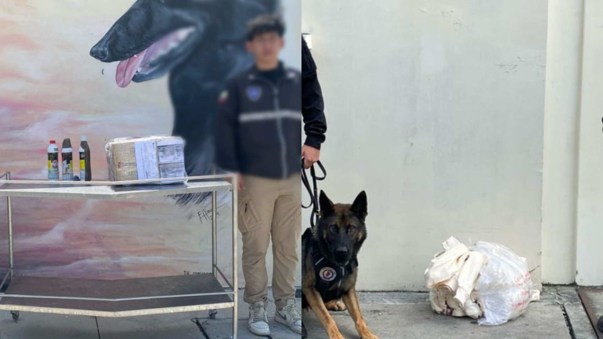 Querían enviar cocaína a Europa oculta en productos naturales y artesanales desde Quito y Guayaquil