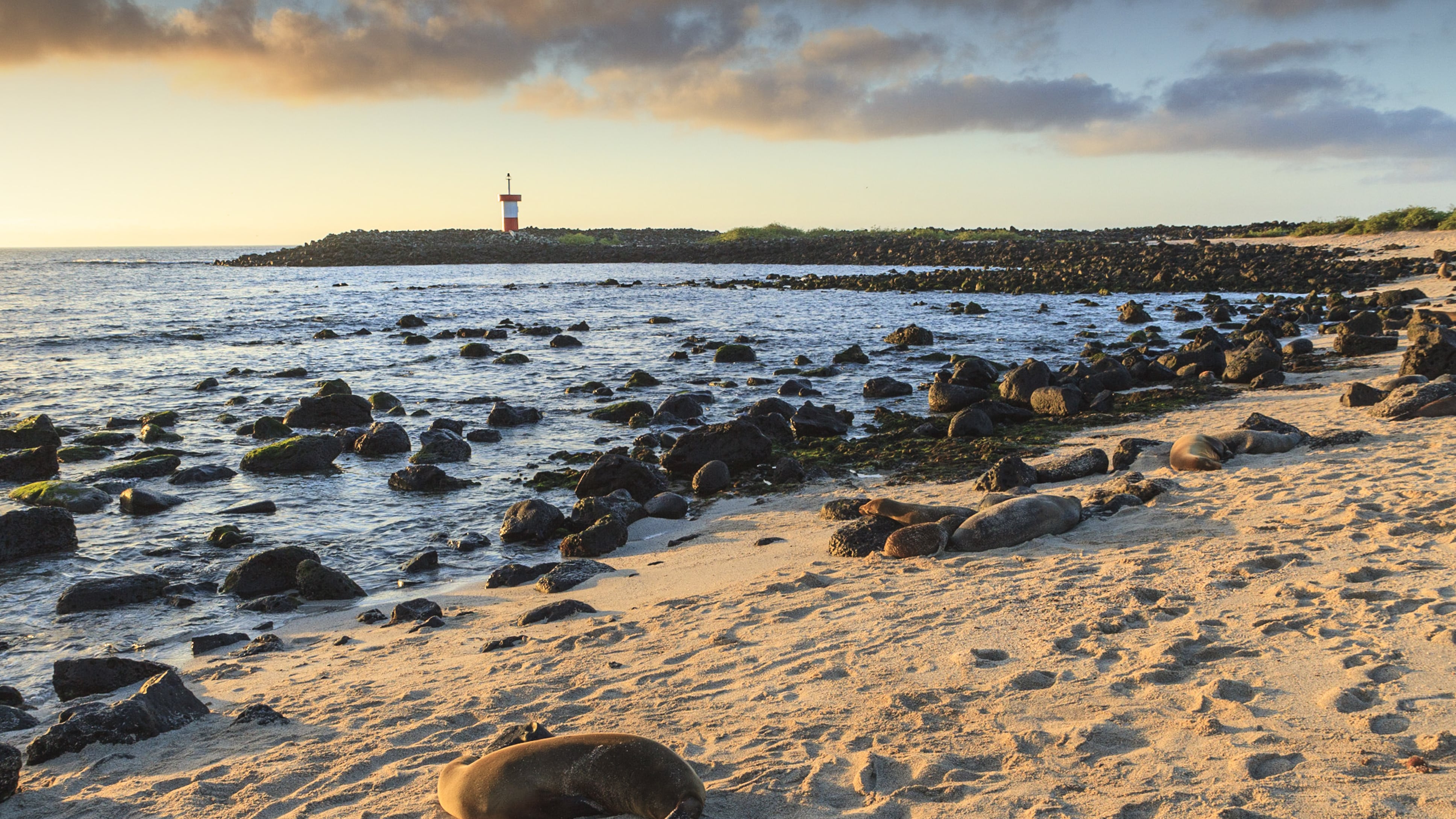 Galápagos, un paraíso encantado.