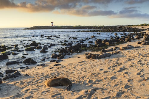 Dos ciudades de Ecuador tendrán un día extra de feriado en Carnaval 2026