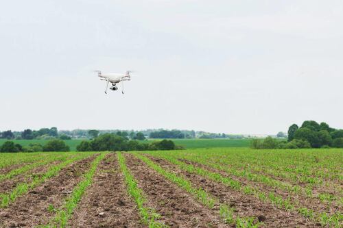 Los drones, una herramienta tecnológica para la agricultura