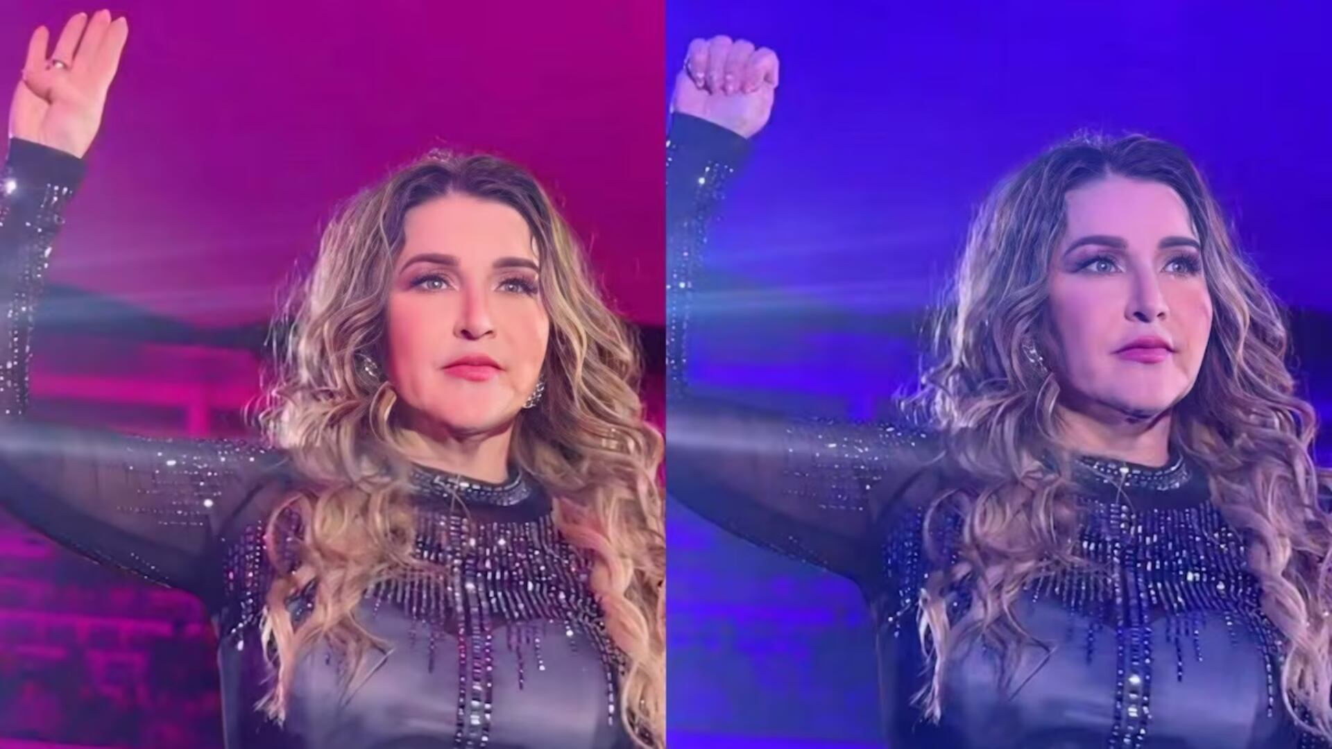 Alicia Villarreal sorprendió a todos sus fans cuando cerró su concierto del domingo 16 de febrero con la señal de auxilio por violencia doméstica.