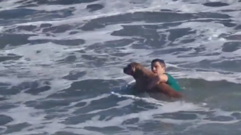 Vecino se lanzó al mar y rescató a un perro arrastrado por la corriente.