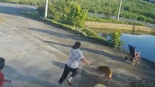 Un bebé y su abuela cayeron a un estanque en China; los testigos actuaron rápidamente y evitaron una tragedia.