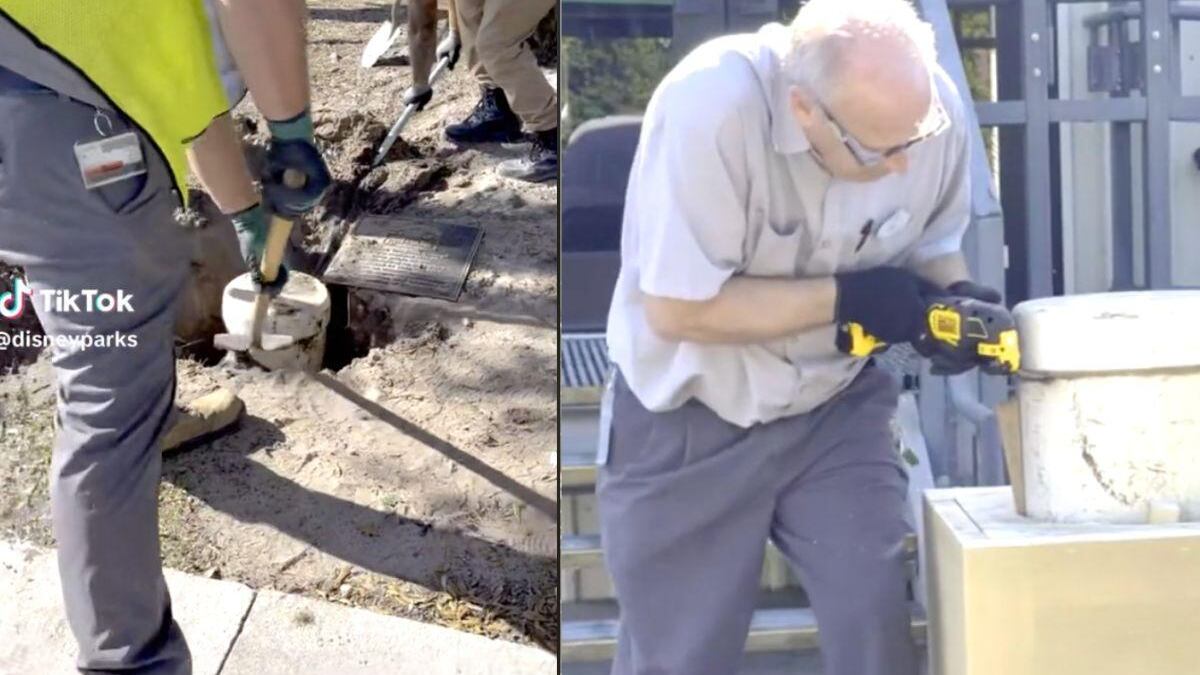 Cápsula del tiempo en Disney